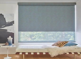 DanGe Screen Roller Shades